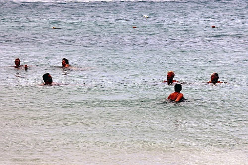 cruise14 (279)